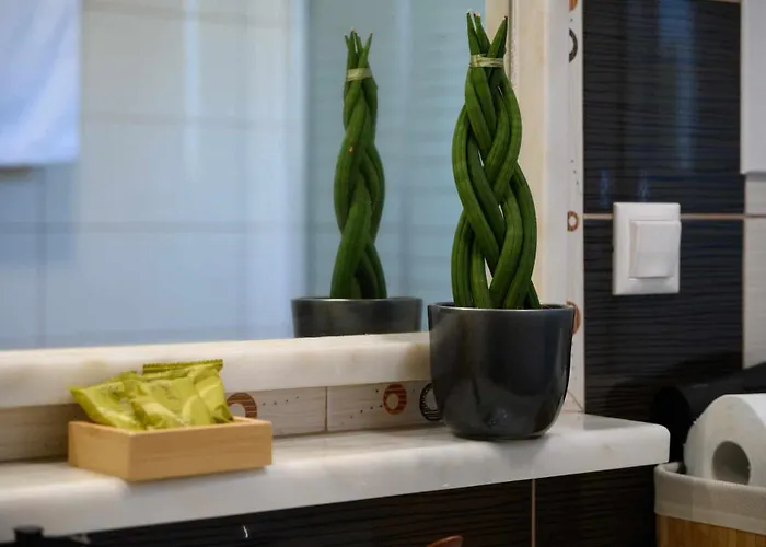 Alina Appartement